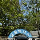 부여 맛집 추천 장원막국수 웨이팅없이 먹기 , 시골통닭 포장 후기