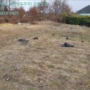 강동초 단구분교 이미지