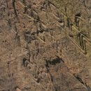 문화유산, 역사가 보인다 이미지