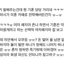 기혼 등장한게 느낌이 좀 쎄하다 이미지