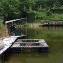 관광농원낚시터 이미지