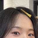 희재장식 이미지