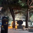 고냉이여관 이미지