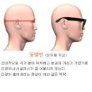 디자인시드 티스토리