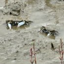 경기둘레길 안산49코스 이미지