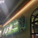 단성무이 이미지