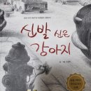 신발신은 강아지 이미지