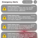 다라니펜션 | 미친 애들 많네 _ 강히 블로그의 상태메시지