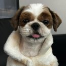 송도종합동물병원 이미지