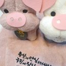 축산물품질평가원 복돼지 수건인형 홍보판촉 단체선물 주문제작 후기