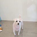 보리미용실 이미지