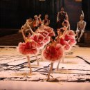 해설이 있는 전막발레 돈키호테 이미지