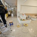 6570 | 타일 시공] LX하우시스 에코노플러스 DET6569 &amp; 6570 베이직테라조 동작구 대방동 24평 투톤 데코타일시공