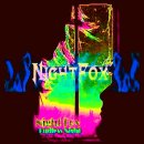 Night Fox - Endless Night 이미지