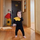 아기랑 고성 소노문 델피노 스위트 조식 셰프스키친 후기