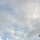 복어잡는사람들 두류점 이미지