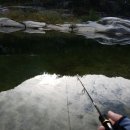 러브팜캠핑장 이미지