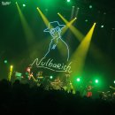 Nulbarich(나루바릿치) - 극상의 그루브를 연주하는 일본의 팝 락 밴드 이미지