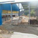 순한농장 이미지