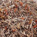 시냇물 2 농장 이미지