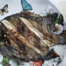 약산면-5 이미지