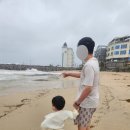 도랑가 | 속초 봉포해변 해루질 포인트 방문기｜비 오는 날 갔다가 재난영화 찍고 온 썰