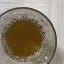 맛있는 붓기차 뉴베러 내몸다운 비채수로 건강한 다이어트