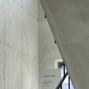 테시토의원 이미지