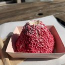 서홍스테이 | 25년 11월 일기