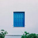 INTP의 대학생활