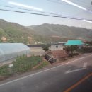 양지교 Daum카페