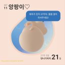 (주)다함메디 | Dday 앙팡이나오는날까지