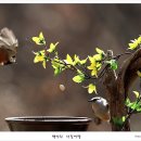 아름다운연출 이미지