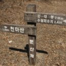 둔사 Daum카페