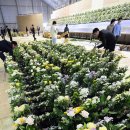 안산 화랑유원지 이미지