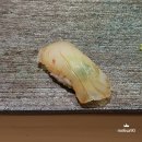 스시소라 이미지