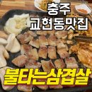 불타는삼겹살 | 충주 교현동 맛집 회식 추천 불타는 삼겹살 내돈내산 후기