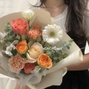 도도플레르 이미지