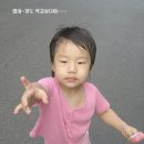 규의농장