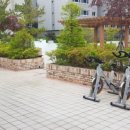 24시 헬스 K.S 바디스타 휘트니스 남산점 이미지