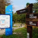 186차 익산보석산악회 정기산행 2025년12월14일 대청호 오백리길(4코스 호반낭만길) 이미지