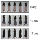 영양-3)영양군 솔다방 앞 | 상한 속눈썹 빠르게 영양공급한 후기