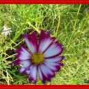 빗물펌프장옆 이미지