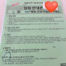 서울대학교 | 서울대학교 병원 제왕절개 후기