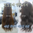 대전 관평동 미용실 모노폴리 매트브라운 염색후기, 나에게 맞는 컬러 선정 꿀팁