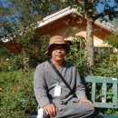 선진민박 이미지