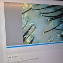안양두피관리 뷰스킨&amp;숲칼프안양호계점 헤드스파 후기