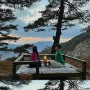 숲의하루 이미지