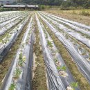 한울농원 이미지