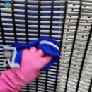 일산초등학교 병설유치원 이미지